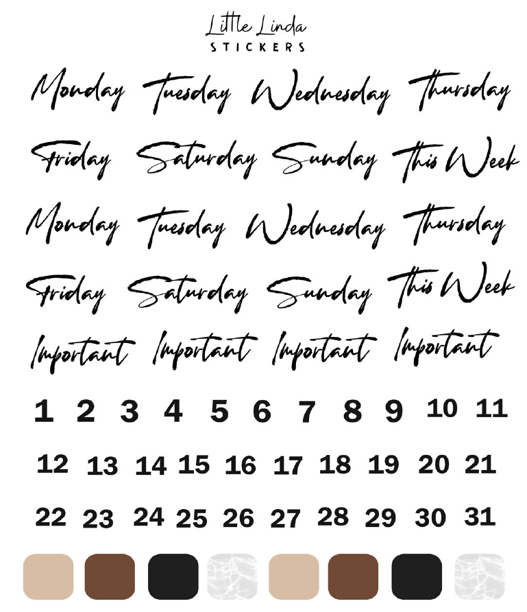 2023 August| Seize The Day