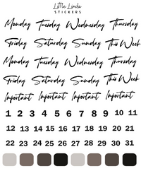 2023 April | Fashion Diva