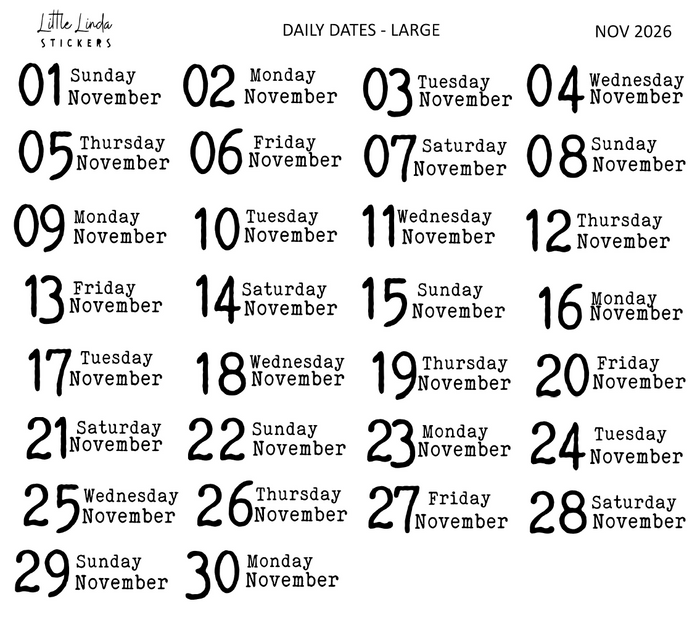 2026 | Back to Basics - DAILYS (Large)