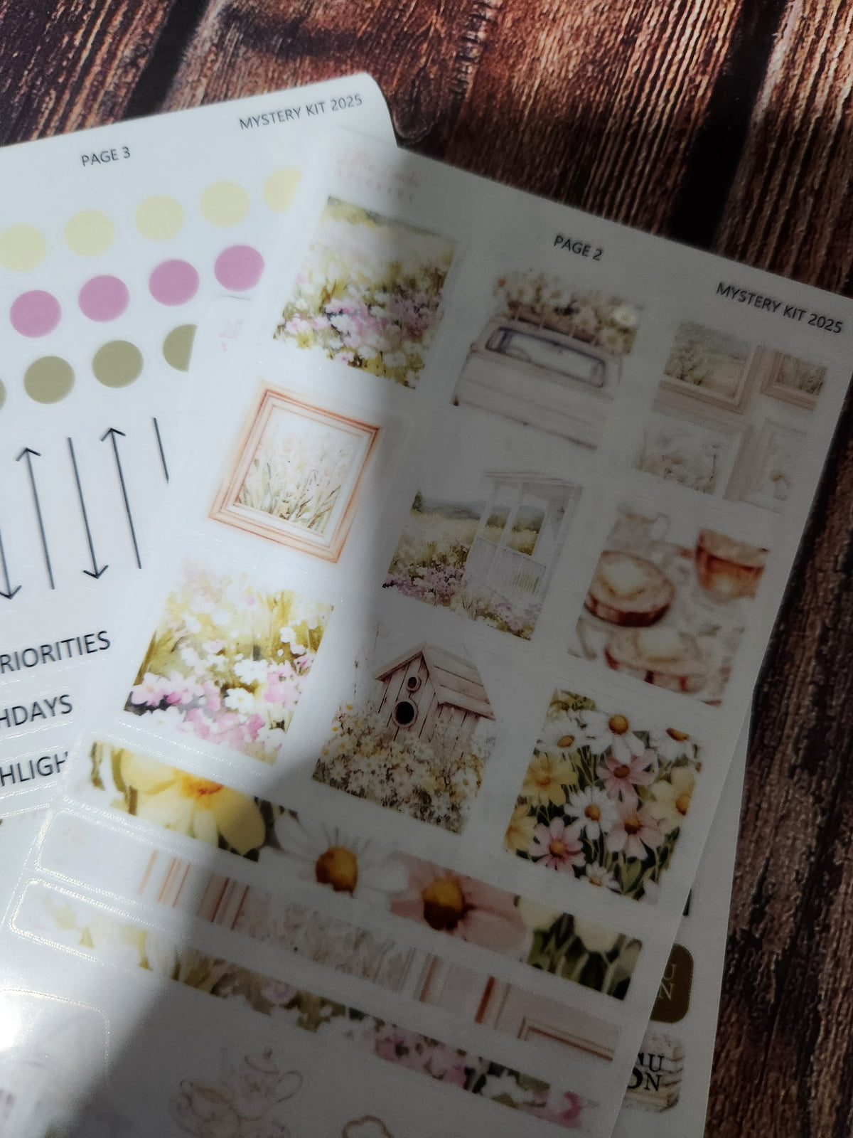 2026 - Monthly Mystery Sticker Kit (Launch)