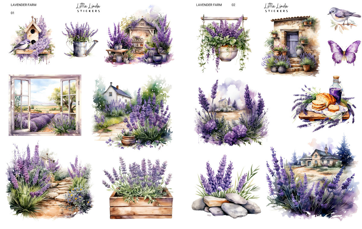 Lavender Farm | 01 - 02