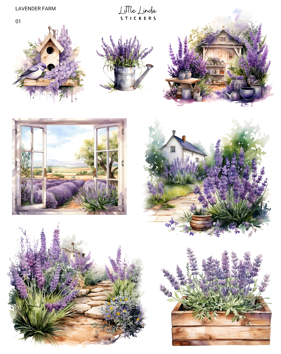 Lavender Farm | 01 - 02