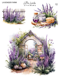 Lavender Farm | 09 - 12