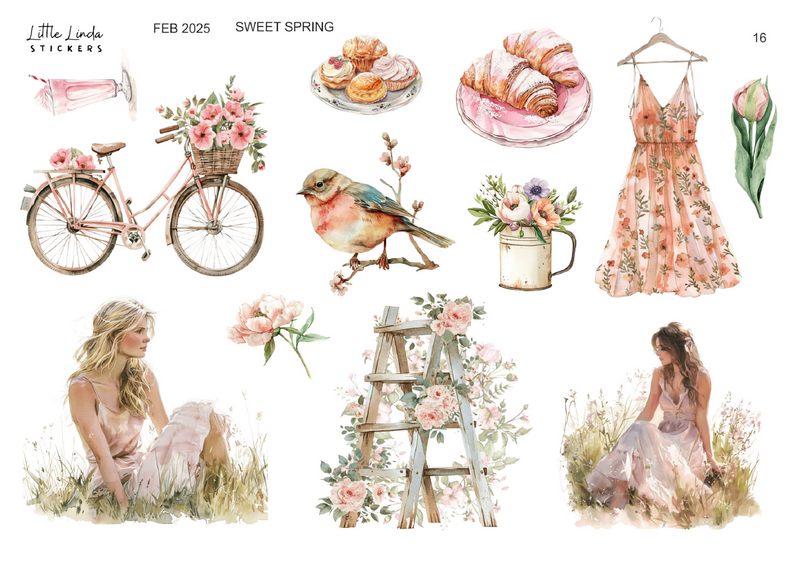 2025 Feb | Sweet Spring | 15 - 16